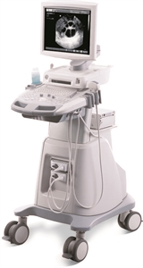 Picture of Firstsing 15 inch screen desktop black and white digital ultrasound machine