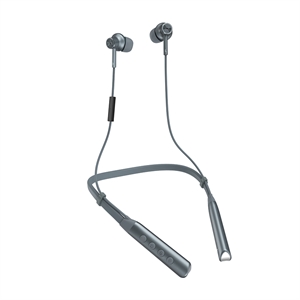 Image de BlueNEXT Bluetooth Digital Hearing Aids,16 Channel Digital Chip Automatic Noise Reduction and Noise Free Processing are Comfortable to Wear(Grey)