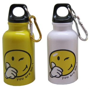 Picture of STAINLESS STEEL BOTTLE