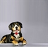 Image de Real-time Anti-loss beep Personal GPS Tracker IP65 for PET dog cat