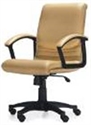 Picture of manager chair