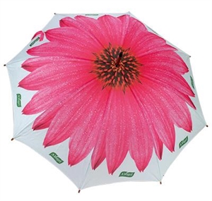 23inchX8K wooden straight follower umbrella の画像