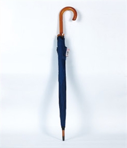 Image de UMBRELLA